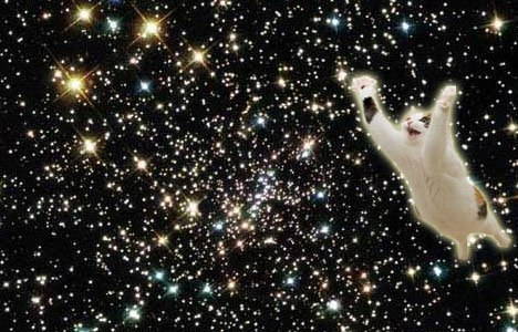 SPACE ☆ CATS PxDy5WL7l7o